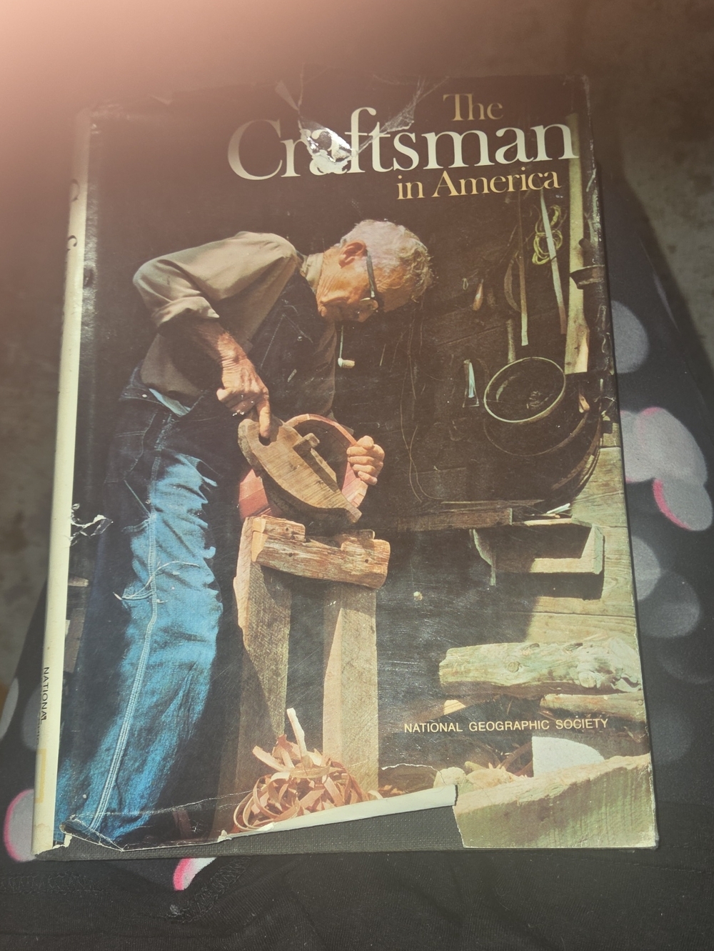 The Craftsman in America